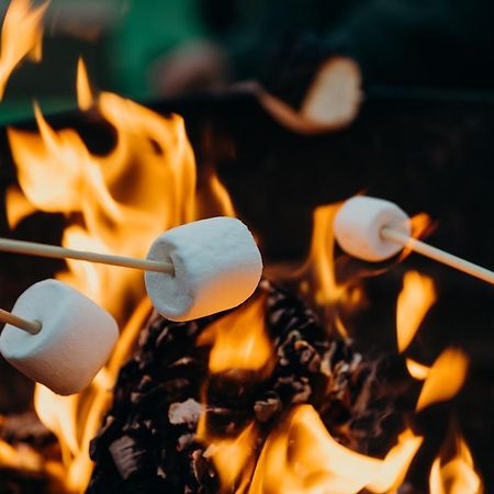 Fen Meadows Glamping - Luxury Cabins And Bell Tents Cambridge  Exteriör bild