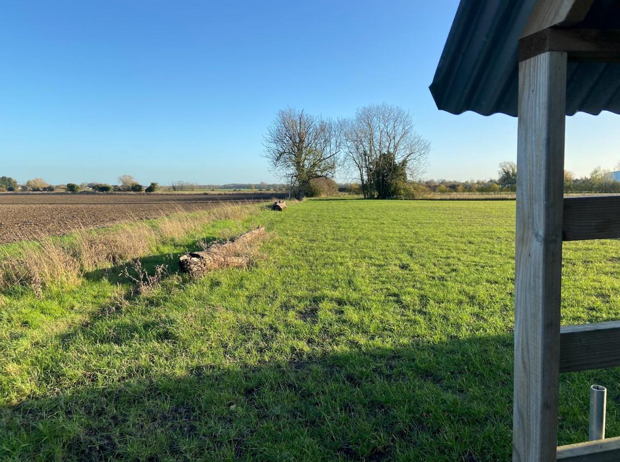 Fen Meadows Glamping - Luxury Cabins And Bell Tents Cambridge  Exteriör bild