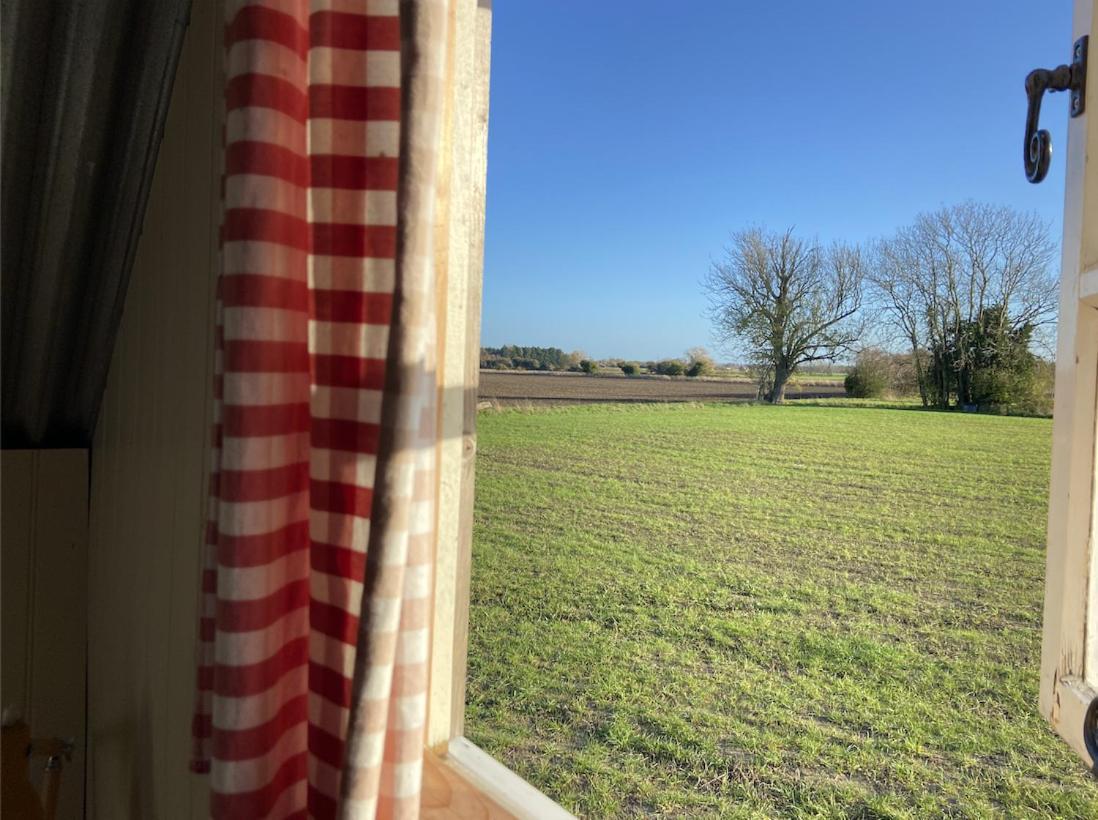 Fen Meadows Glamping - Luxury Cabins And Bell Tents Cambridge  Exteriör bild