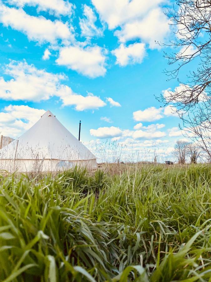 Fen Meadows Glamping - Luxury Cabins And Bell Tents Cambridge  Exteriör bild