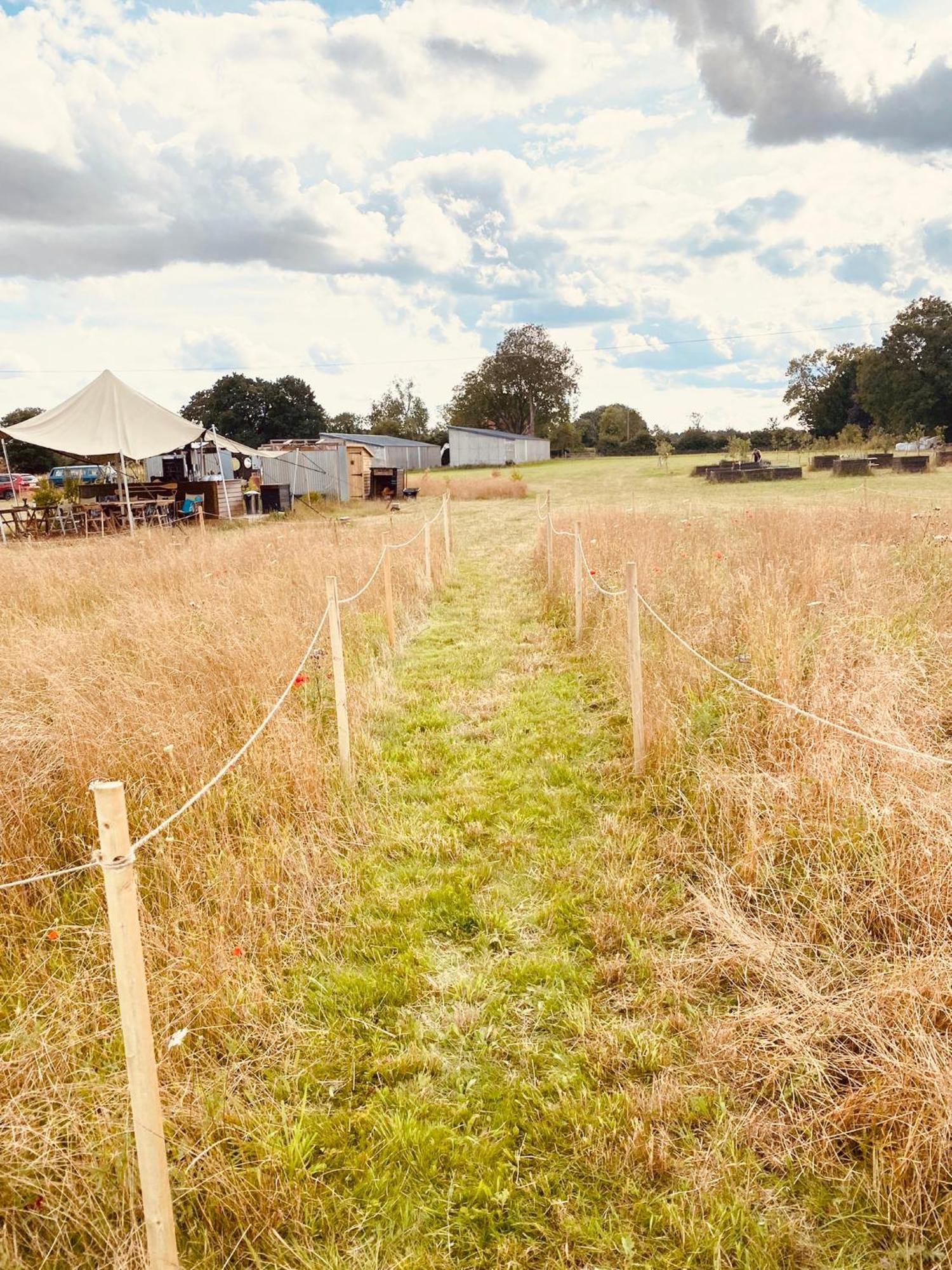 Fen Meadows Glamping - Luxury Cabins And Bell Tents Cambridge  Exteriör bild